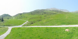 Alp Stätz