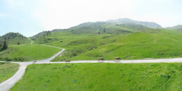 Alp Stätz