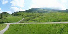 Alp Stätz