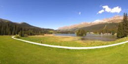 Heidsee Bargias