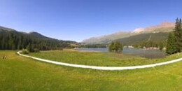 Heidsee Bargias
