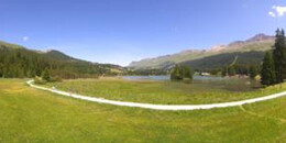 Heidsee Bargias