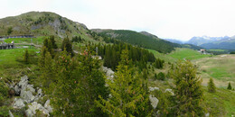 Bear Sanctuary