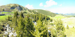 Bear Sanctuary