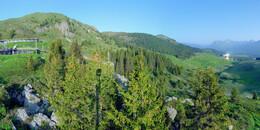 Bärenland