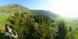 Bear Sanctuary