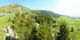 Bärenland
