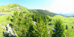 Bear Sanctuary